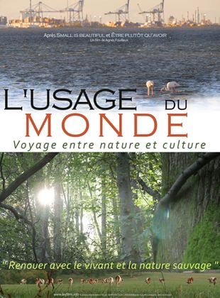 Le ciné est dans le pré :L'USAGE DU MONDE