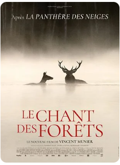 Le Chant des forêts (Dans le cadre des Incontournables du vendredi) Le Chant des forêts (Dans le cadre des Incontournables du vendredi)